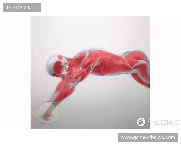 艾尚体育官方入口的最新使用指南,轻松了解每一步操作技巧 艾尚体育官方入口的最新使用指南,轻松了解每一步操作技巧