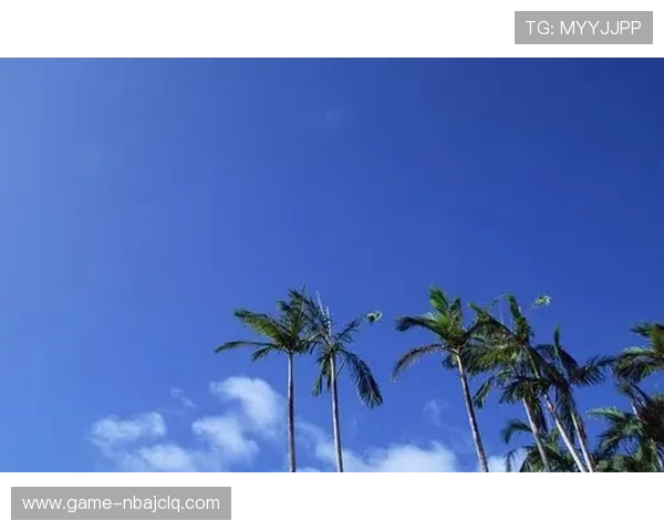 天空官网地址无法访问怎么办？多种解决方案与备用入口推荐